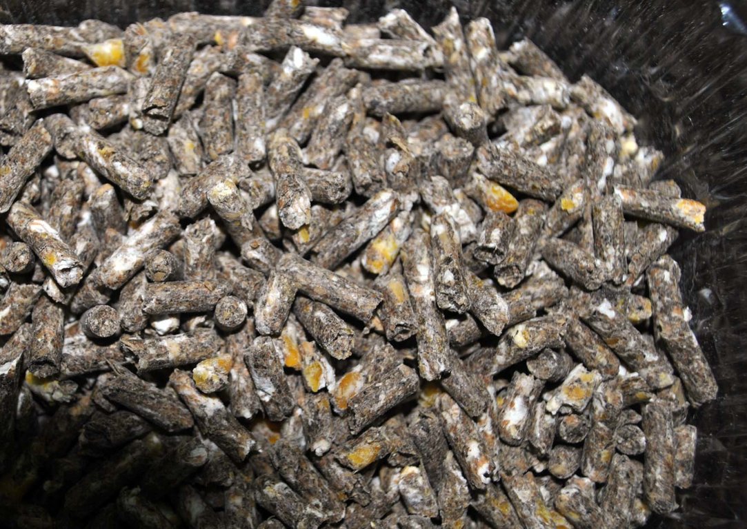 Купить Баскатовский Корм Для Кроликов В Самаре